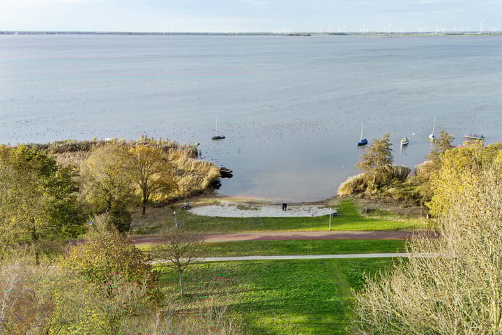 Foto 47 van Rietgorsmeen 50