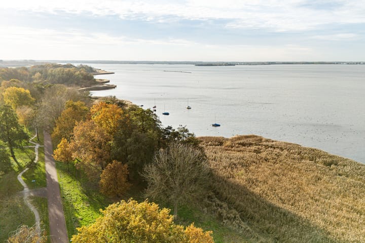 Foto 48 van Rietgorsmeen 50