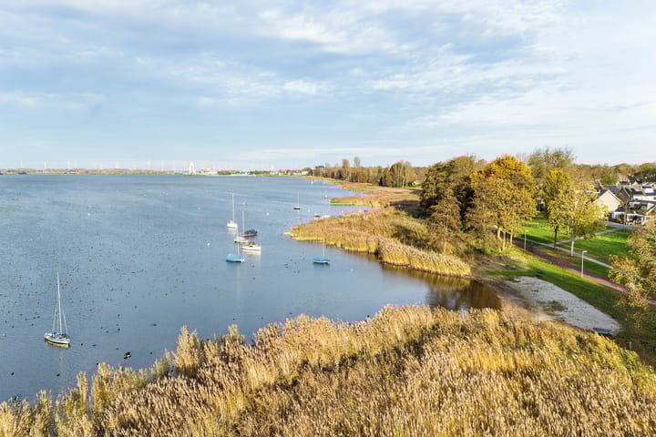 Foto 49 van Rietgorsmeen 50