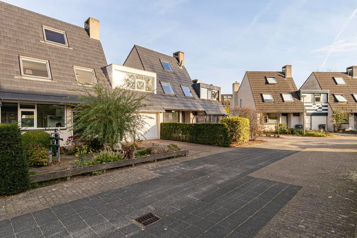 Foto 51 van Rietgorsmeen 50