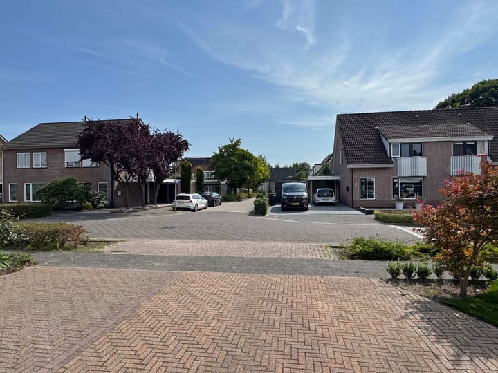 Foto 9 van Goudenregen 15