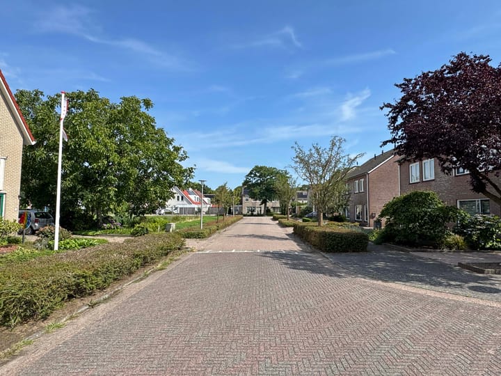 Foto 10 van Goudenregen 15