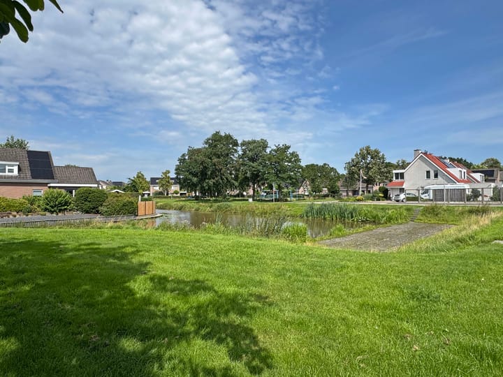 Foto 11 van Goudenregen 15