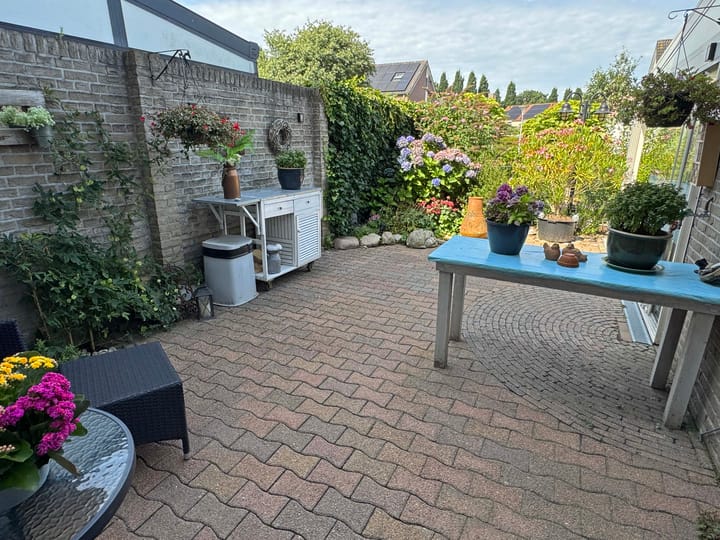 Foto 15 van Goudenregen 15