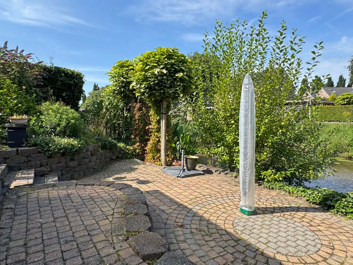 Foto 19 van Goudenregen 15