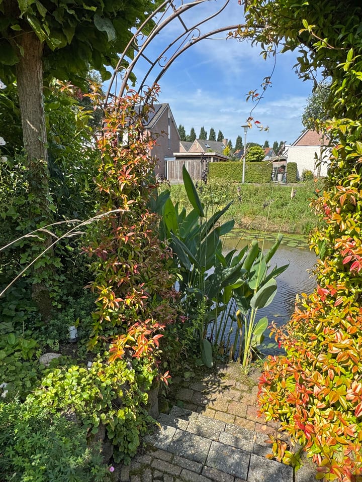 Foto 21 van Goudenregen 15