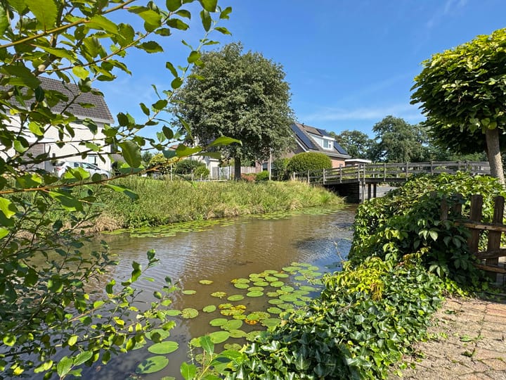 Foto 22 van Goudenregen 15