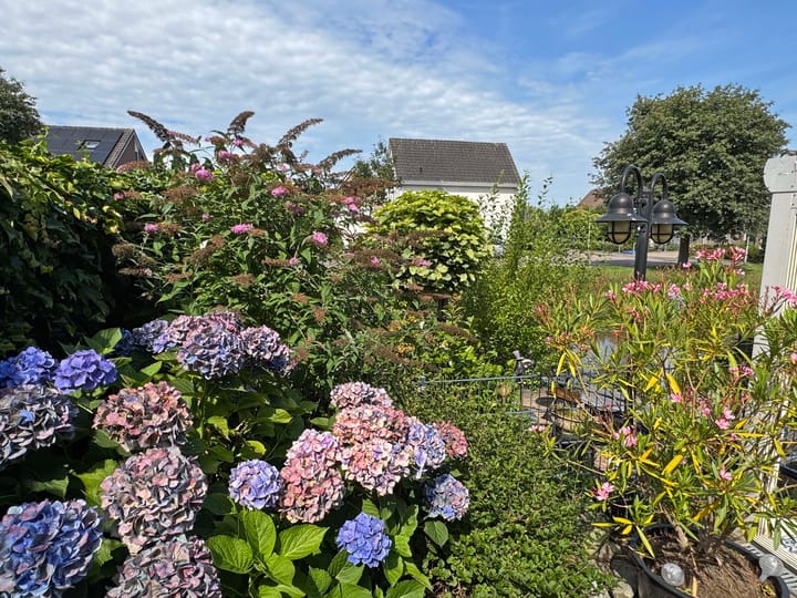 Foto 23 van Goudenregen 15