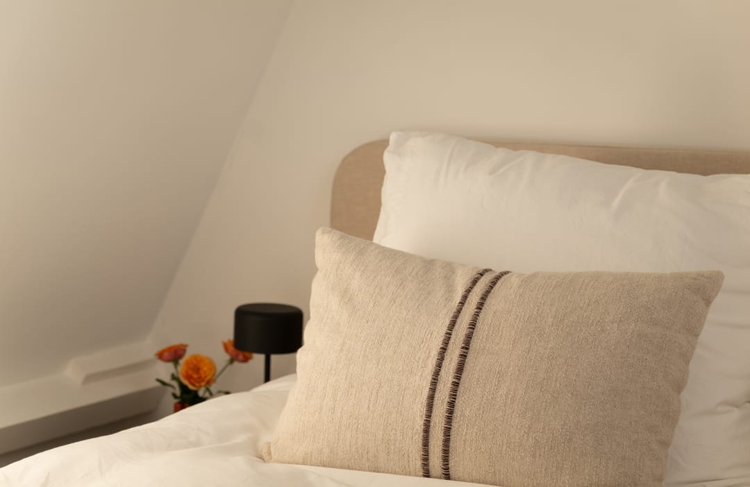 Foto 22 van Tintorettostraat 13-3