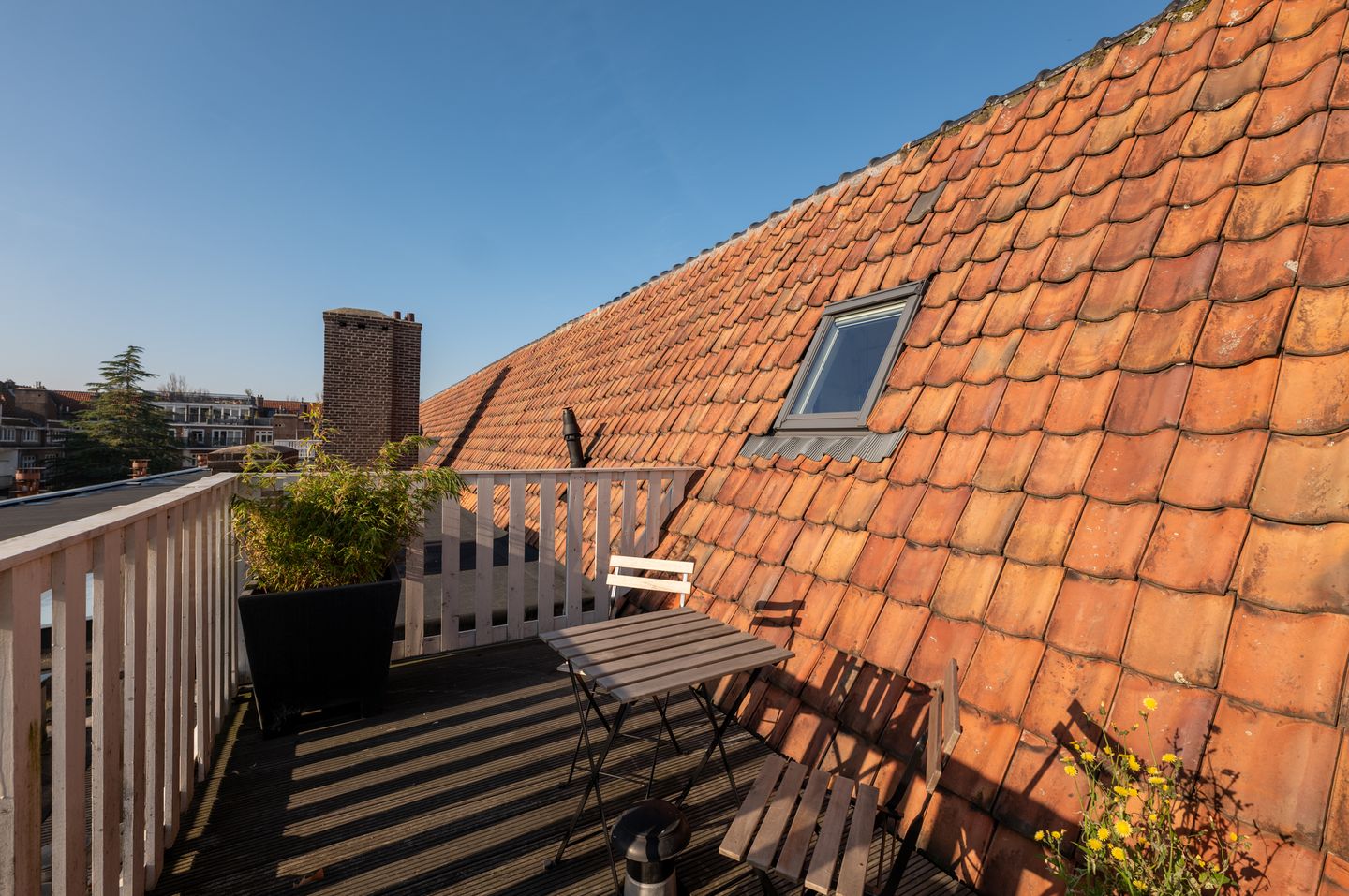 Foto 34 van Tintorettostraat 13-3