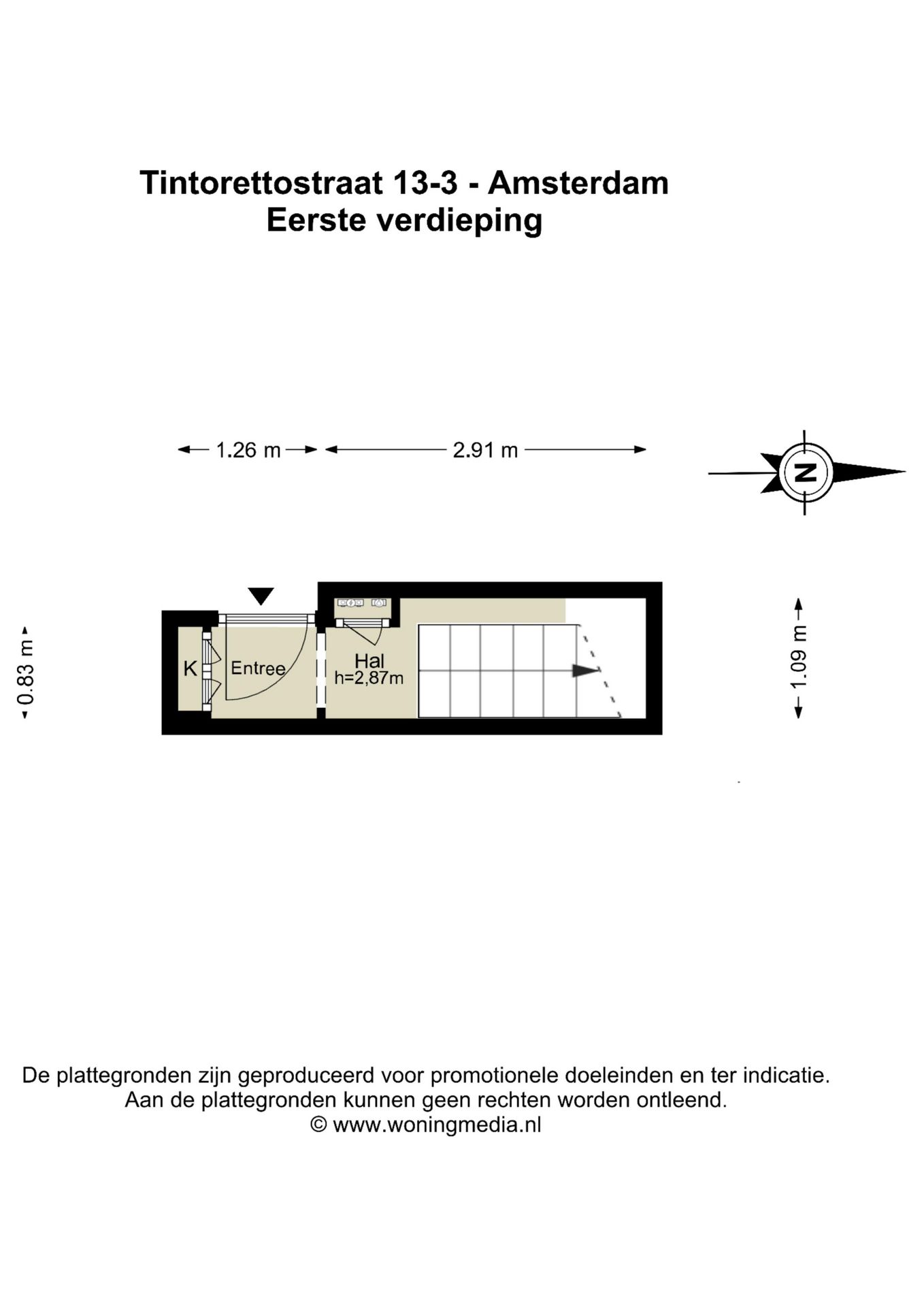 Foto 45 van Tintorettostraat 13-3