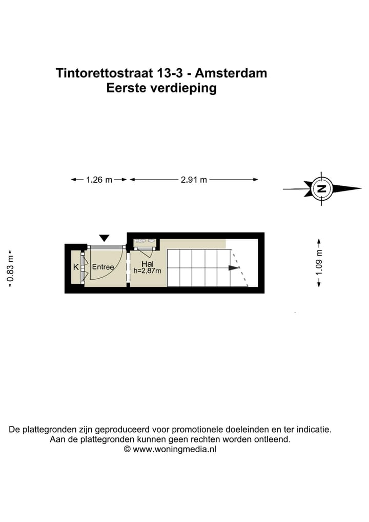 Photo 45 of Tintorettostraat 13-3