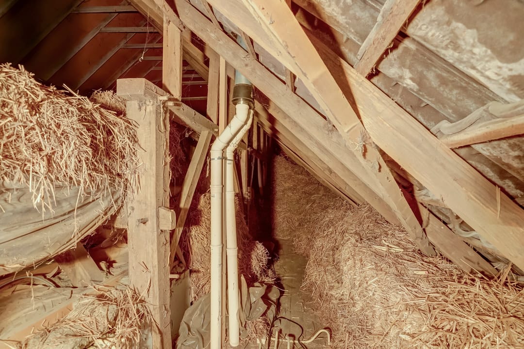 Foto 38 van Lemmenesweg 2