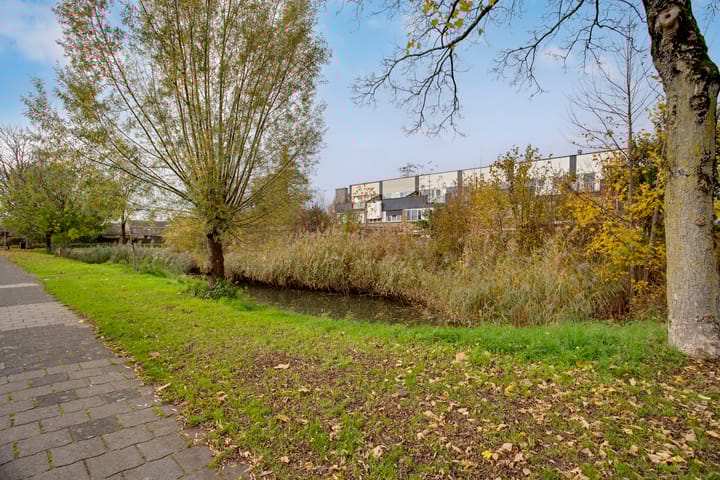 Photo 48 of Botterstraat 5