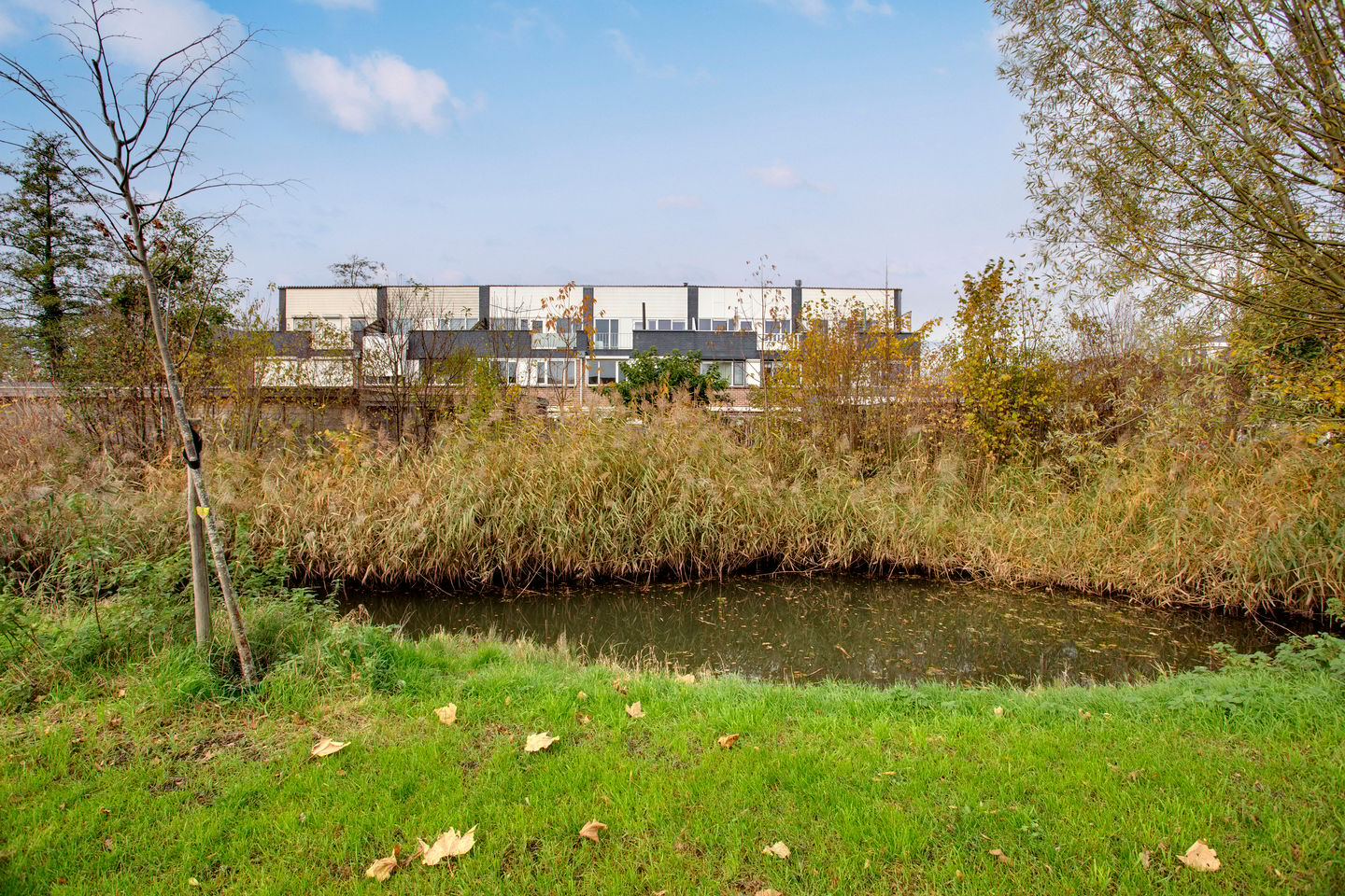 Foto 49 van Botterstraat 5