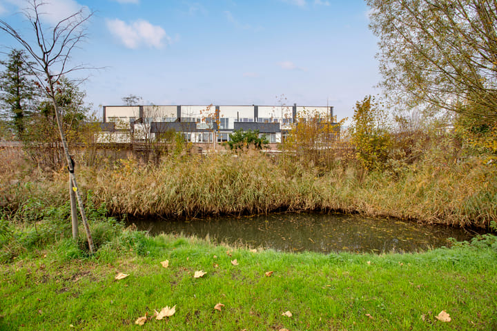 Photo 49 of Botterstraat 5