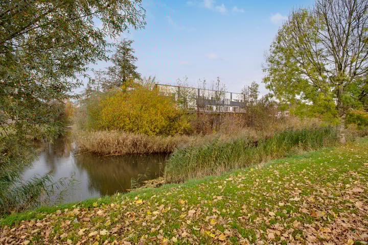 Photo 50 of Botterstraat 5