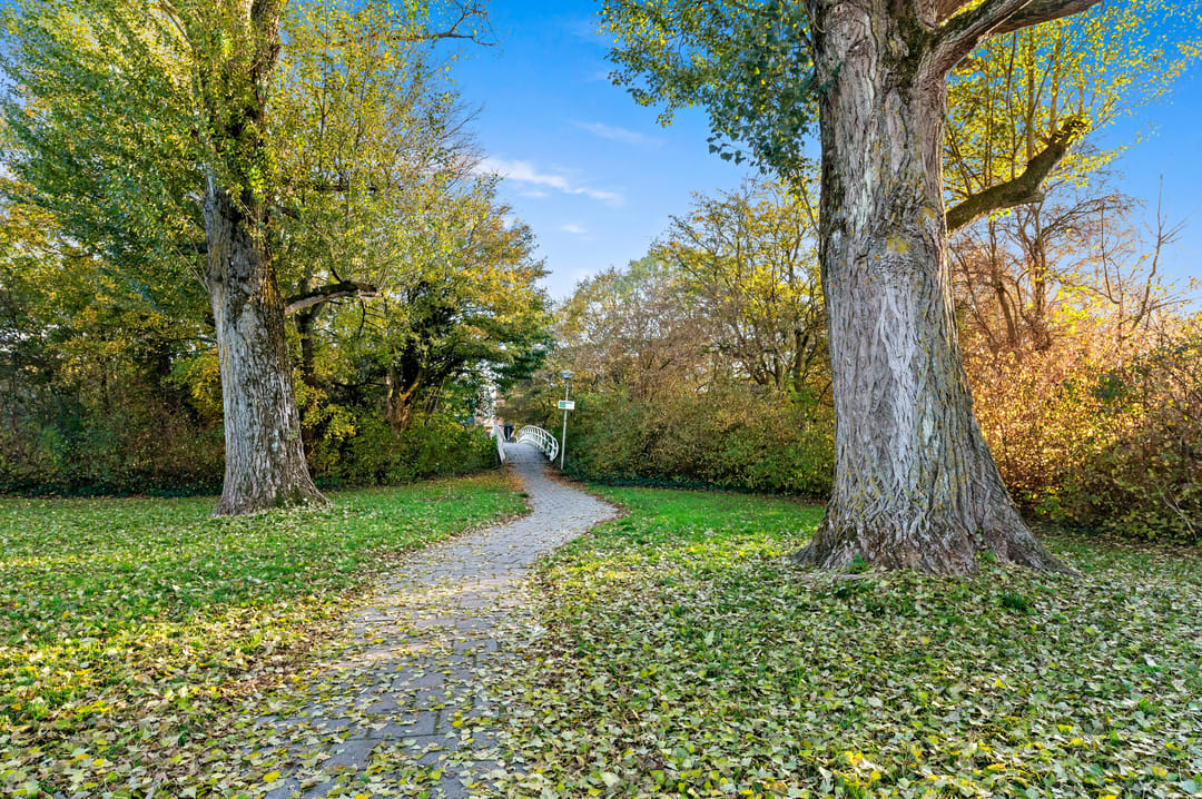 Foto 46 van Raad van Europalaan 43