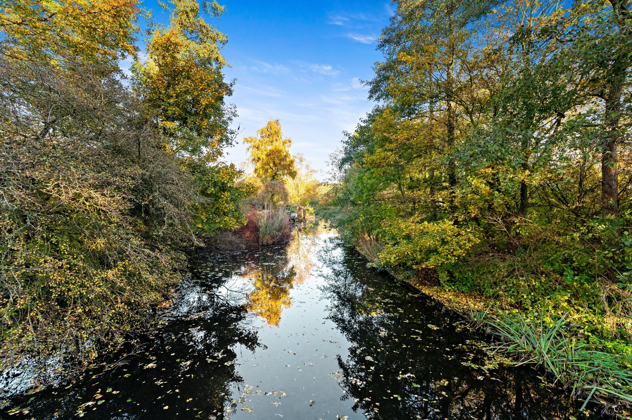 Foto 48 van Raad van Europalaan 43