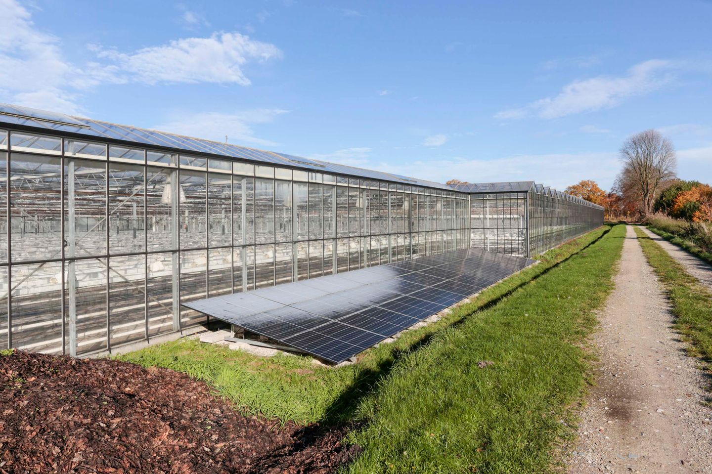 Bekijk foto 3 van Soemeersingel 4