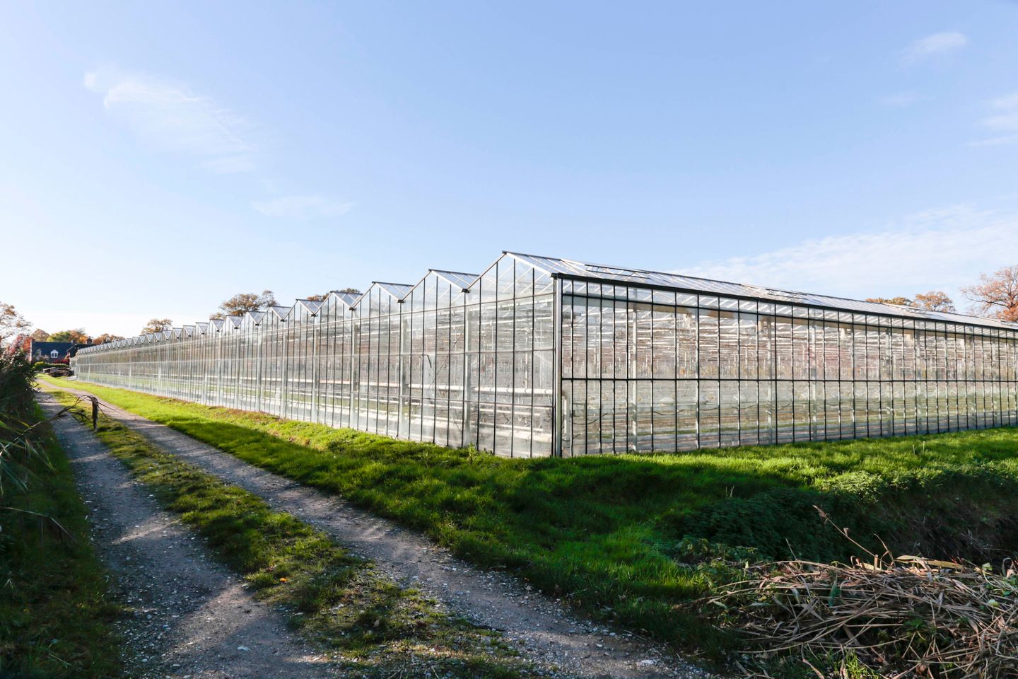 Bekijk foto 1 van Soemeersingel 4