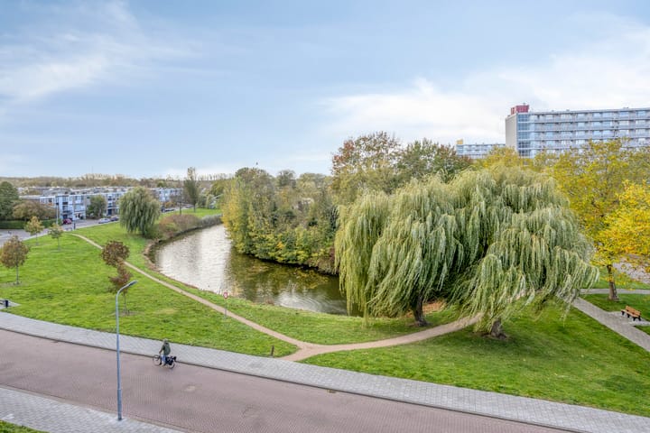 Photo 3 of Schaepmanstraat 175