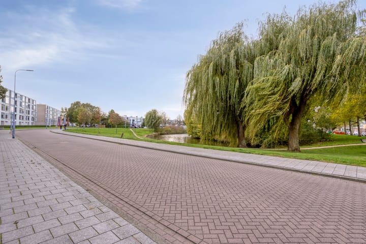 Photo 26 of Schaepmanstraat 175