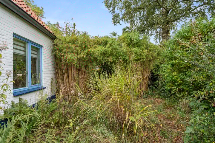 Photo 38 of Acacialaan 32