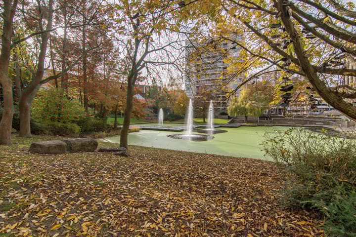 Photo 31 of Noordwaarts 94