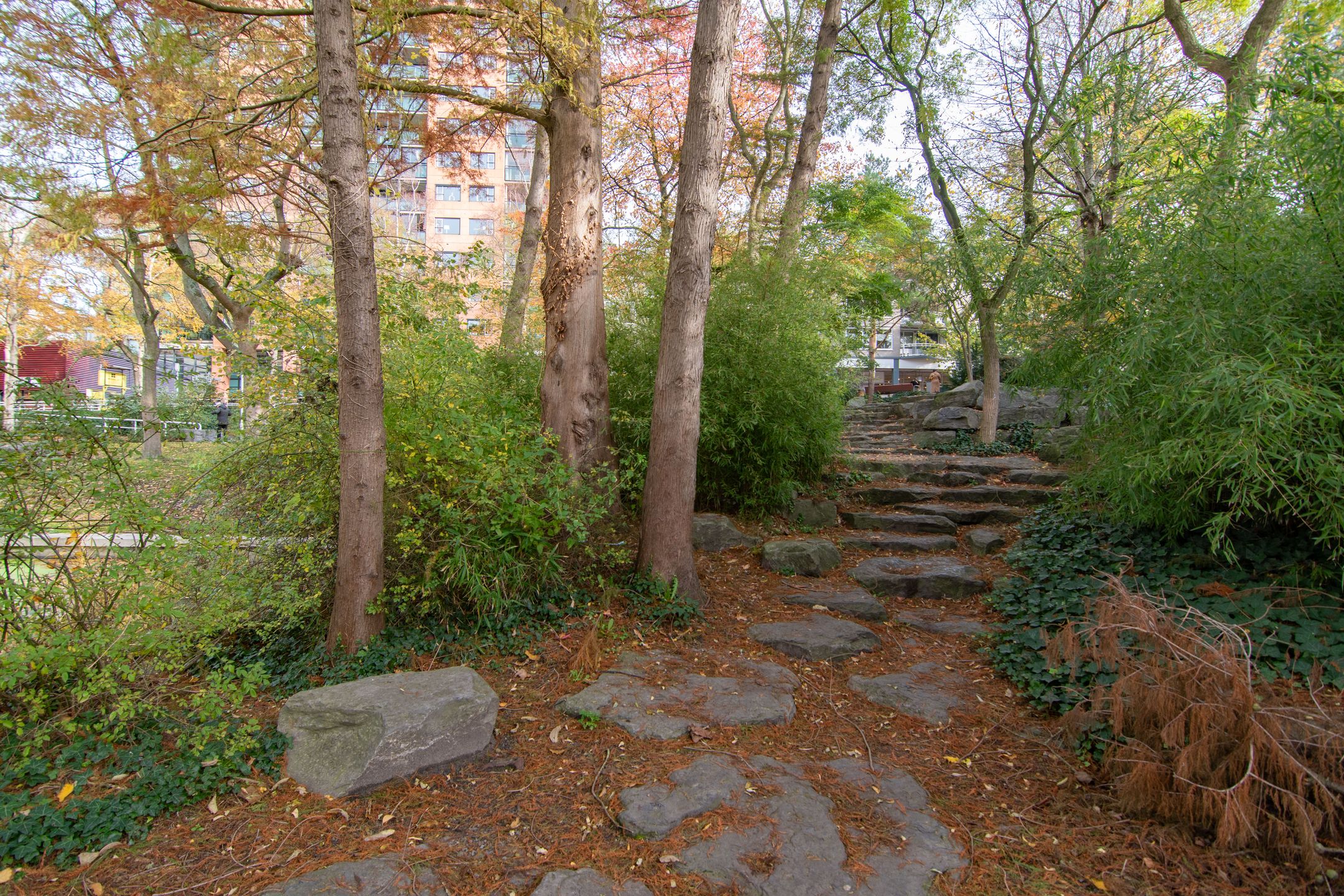 Foto 33 van Noordwaarts 94