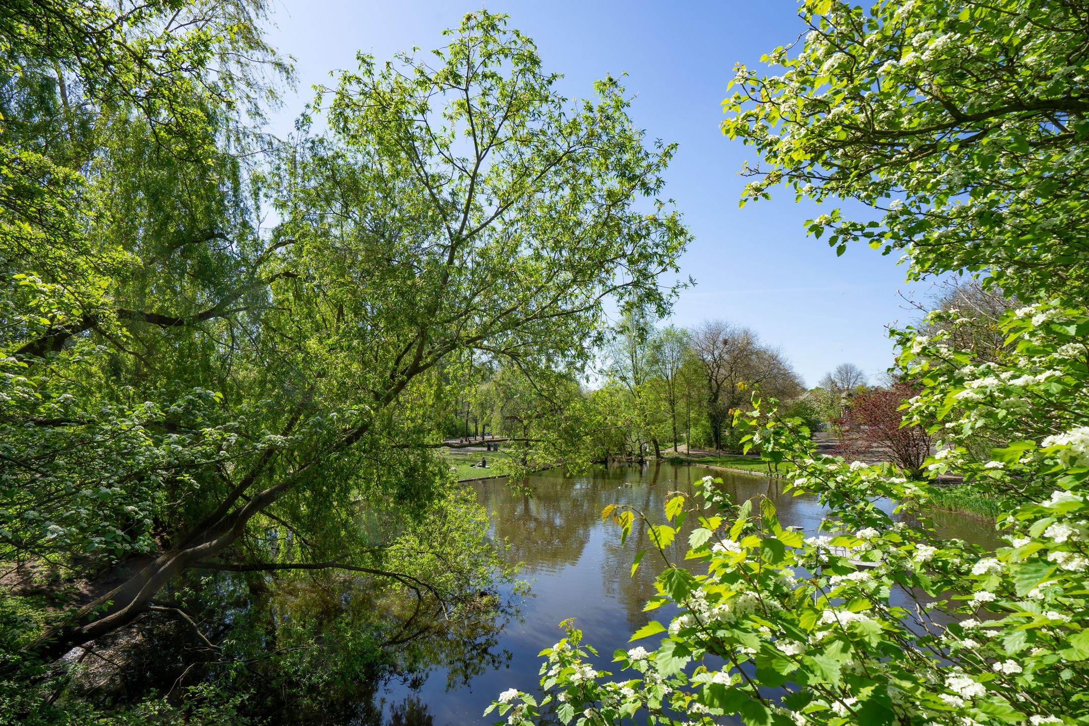 Foto 27 van Govert Flinckstraat 136-2V