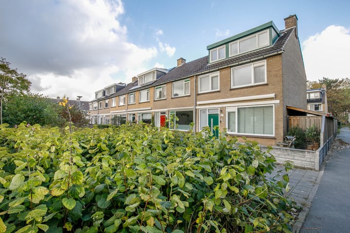 Foto 4 van Balsemkruid 62