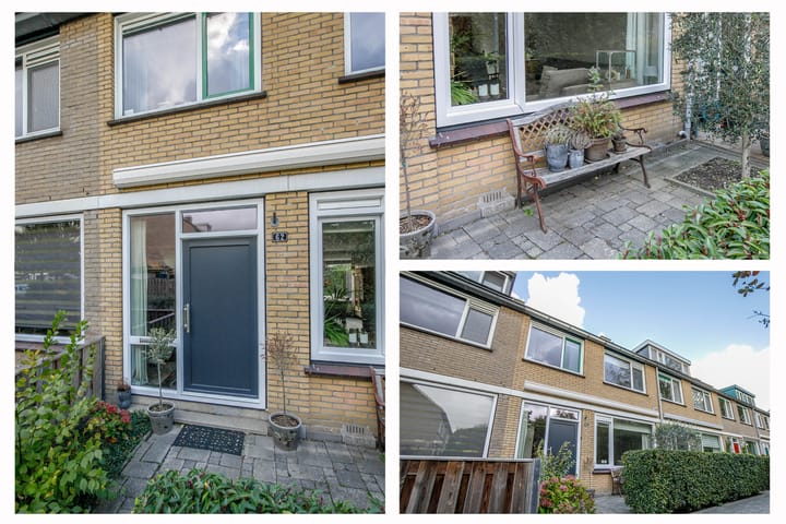 Foto 6 van Balsemkruid 62