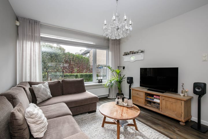 Foto 9 van Balsemkruid 62