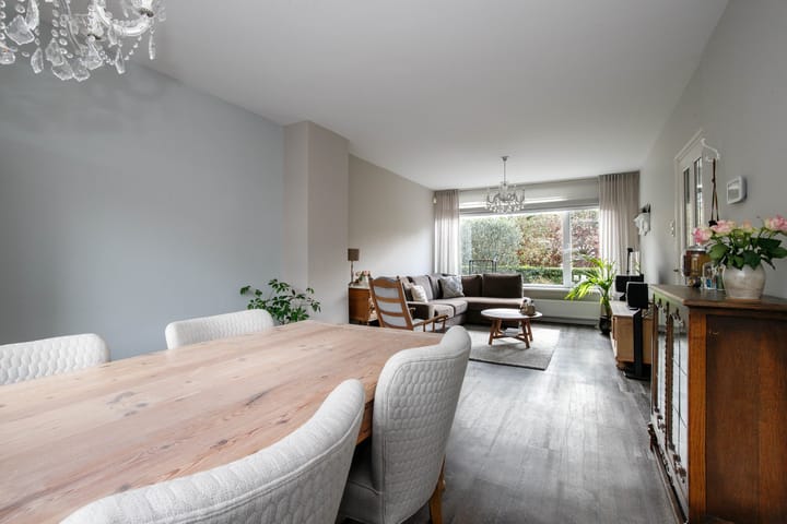 Foto 14 van Balsemkruid 62