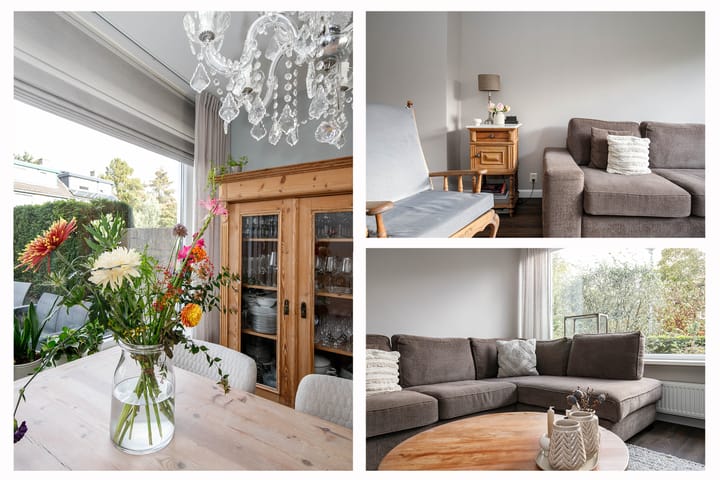 Foto 15 van Balsemkruid 62