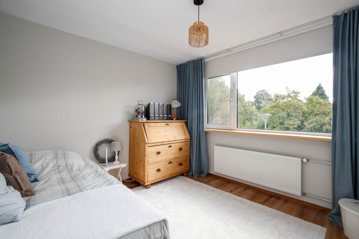 Foto 21 van Balsemkruid 62