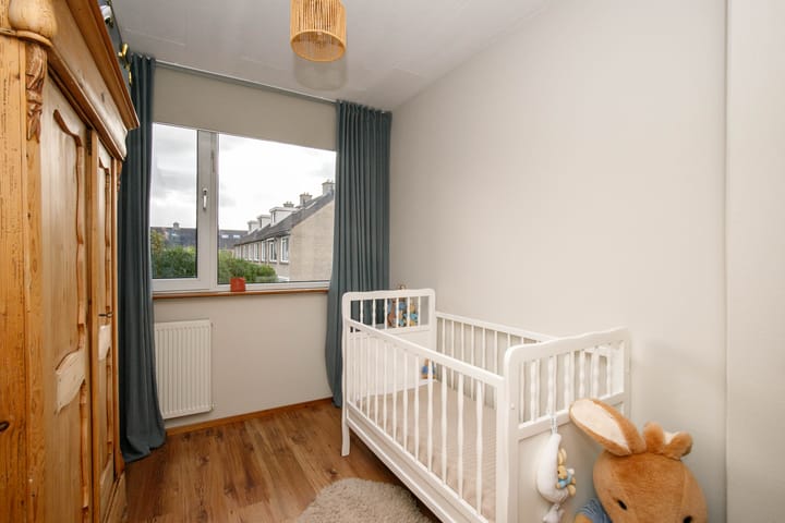 Foto 23 van Balsemkruid 62