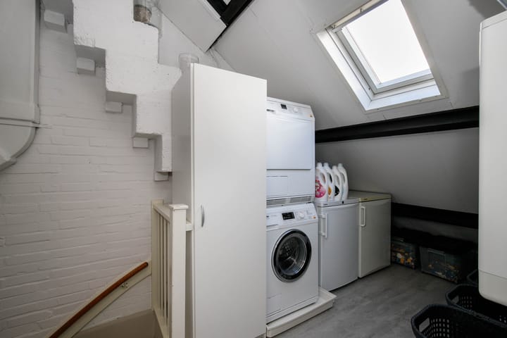 Foto 27 van Balsemkruid 62