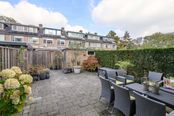 Foto 31 van Balsemkruid 62