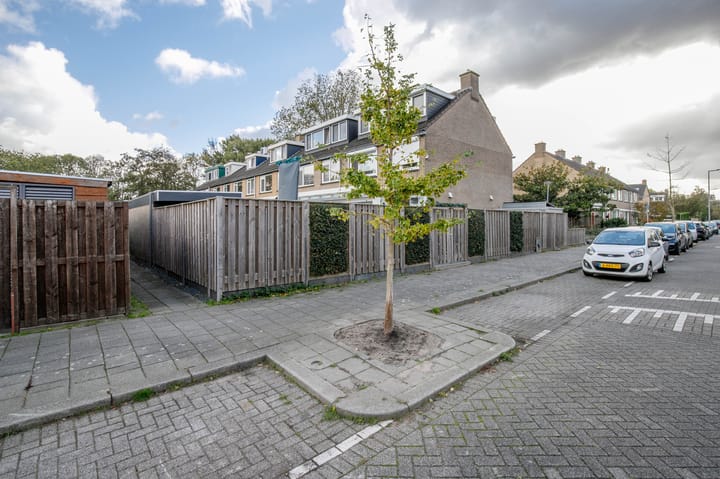 Foto 36 van Balsemkruid 62