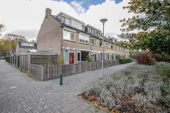 Foto 37 van Balsemkruid 62