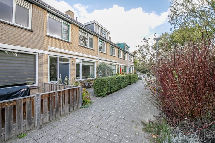 Foto 38 van Balsemkruid 62