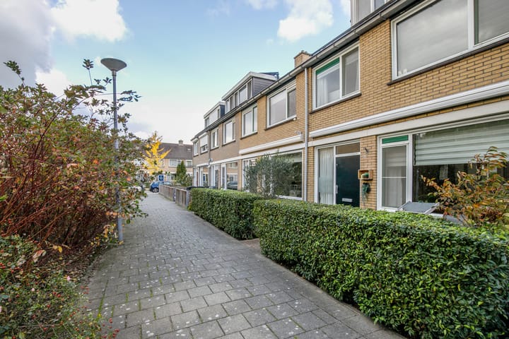 Foto 39 van Balsemkruid 62