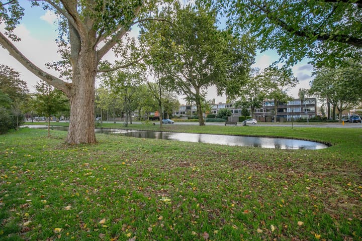 Foto 40 van Balsemkruid 62