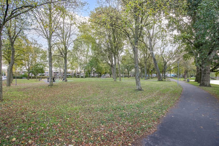 Foto 41 van Balsemkruid 62