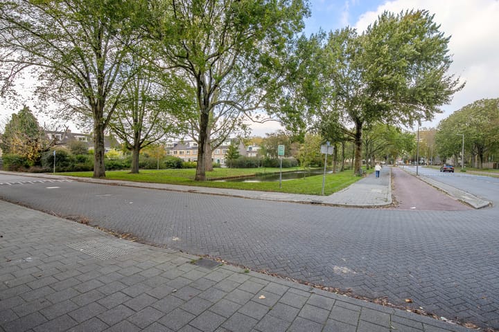 Foto 42 van Balsemkruid 62