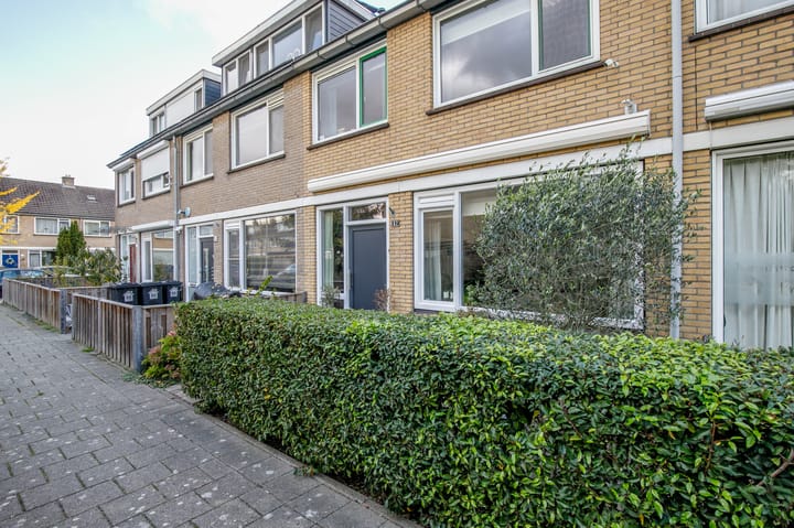 Foto 5 van Balsemkruid 62