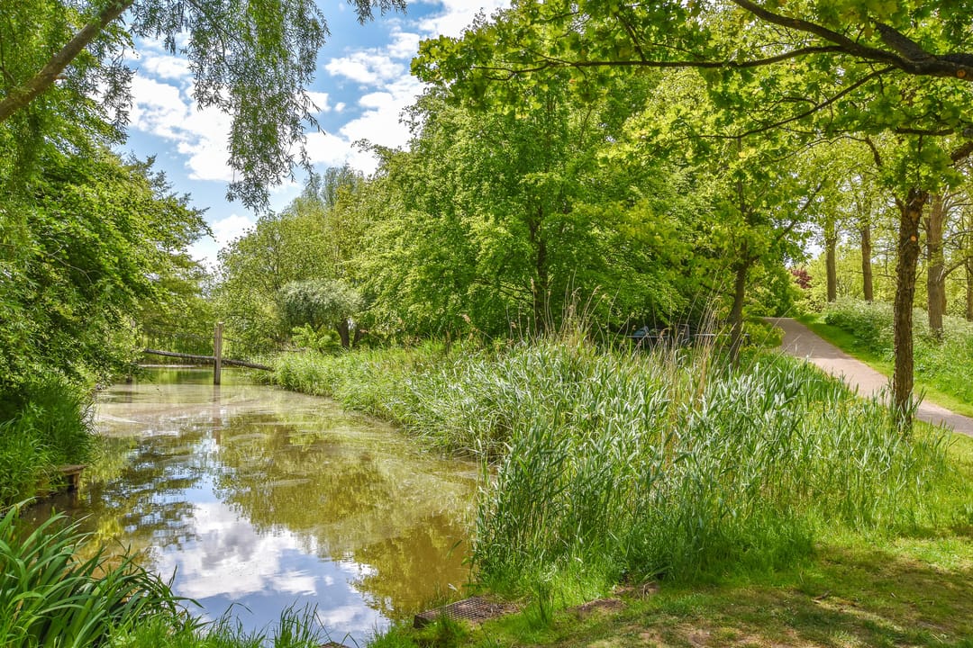 Foto 28 van Carolina MacGillavrylaan 123