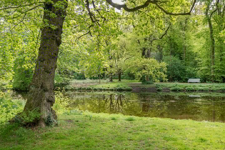 Photo 36 of Van Hogenhoucklaan 50